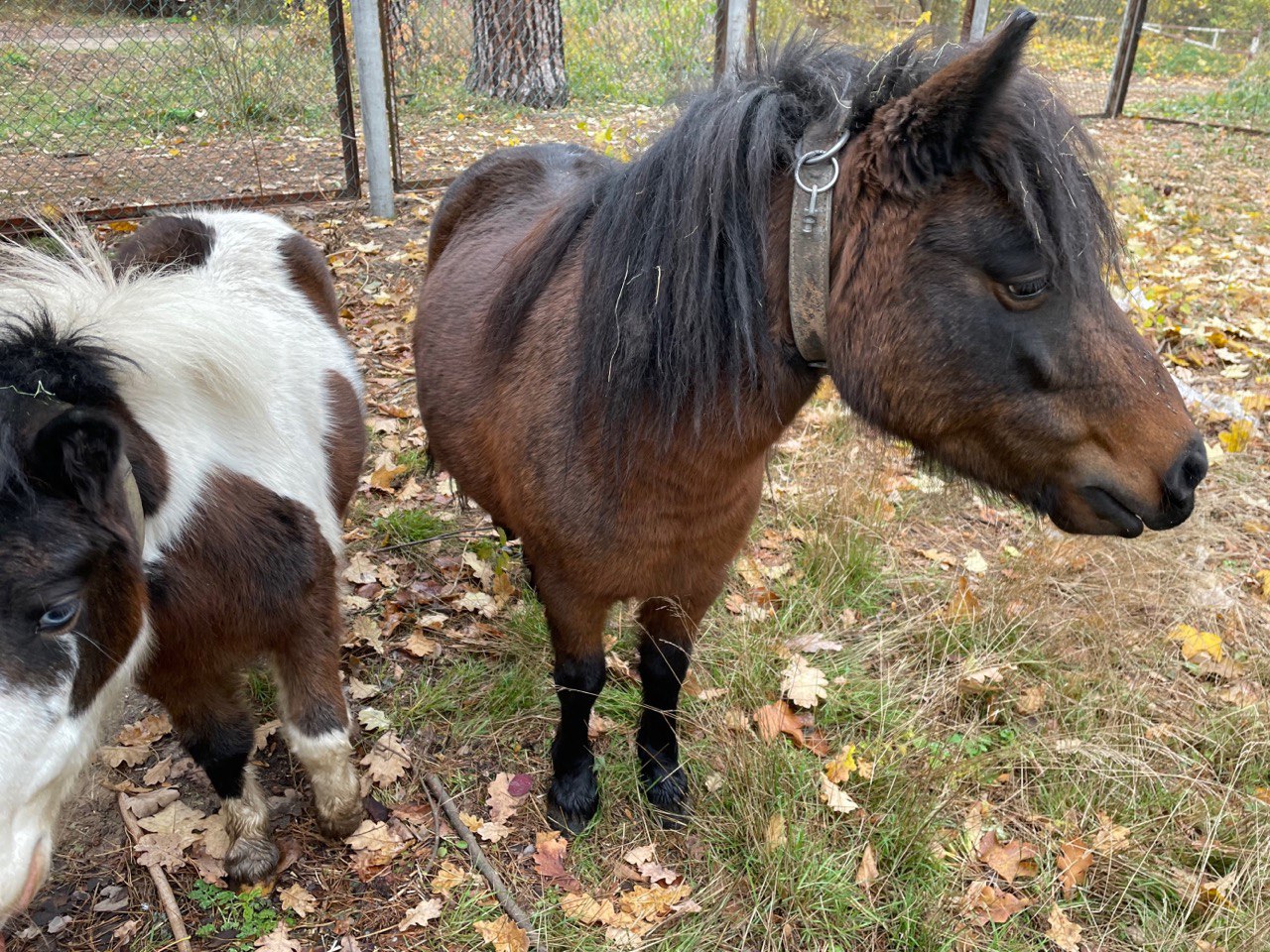 Победить и выстоять. Насколько в медицине важны системная поддержка и комплексный подход крупного бизнеса